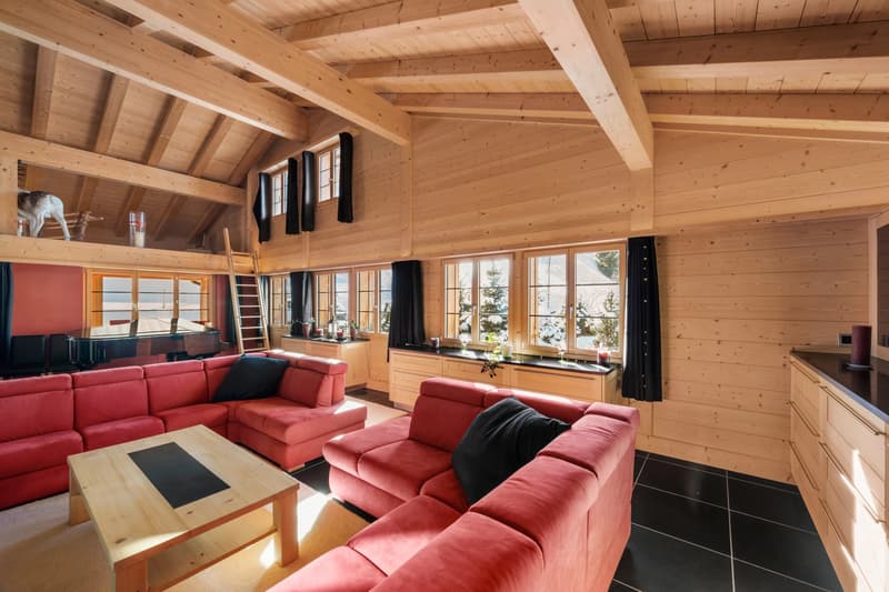 Exceptional Alpine Property (6)
