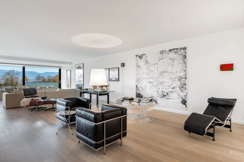 Grand appartement avec vue à Corsier (4)