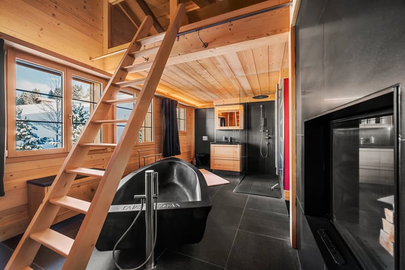 Propriété alpine d'exception (10)