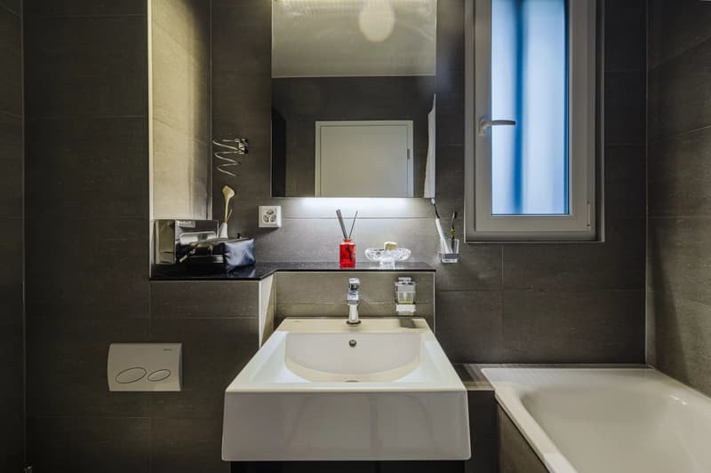Confortable villa contemporaine à Thônex (11)