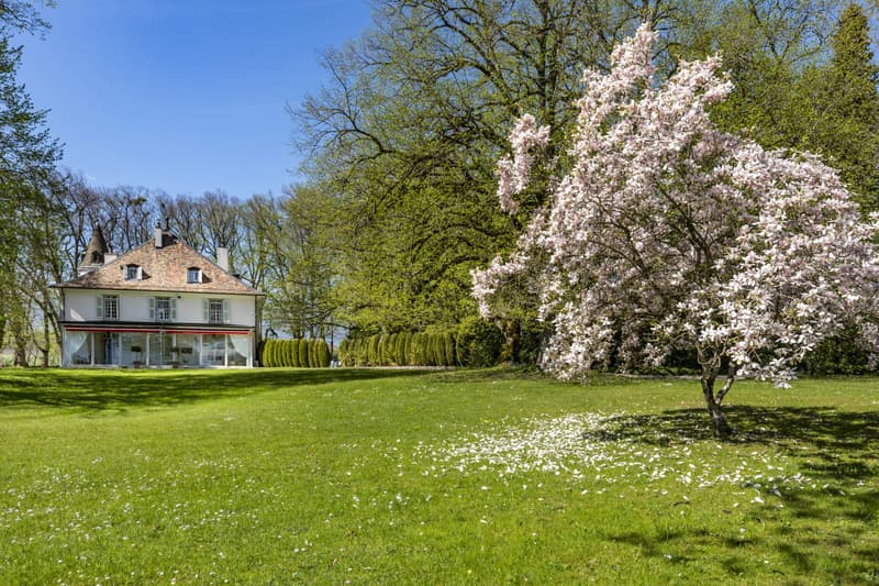 Un domaine historique d'exception à Genève (2)