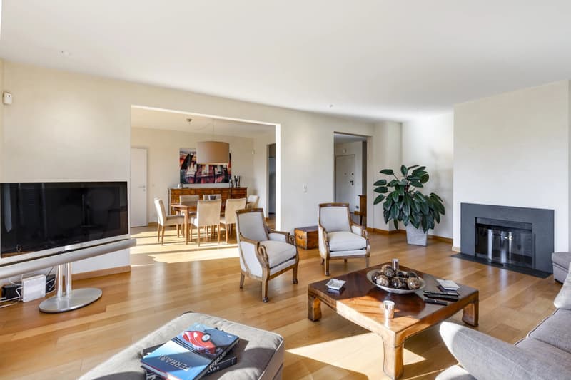 Magnifique appartement proche de Nyon (4)