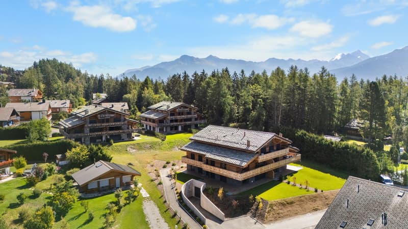 Élégance contemporaine dans un écrin alpin (1)