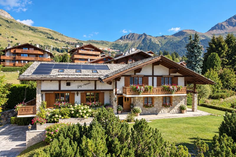 Beau chalet sur grand parcelle (1)