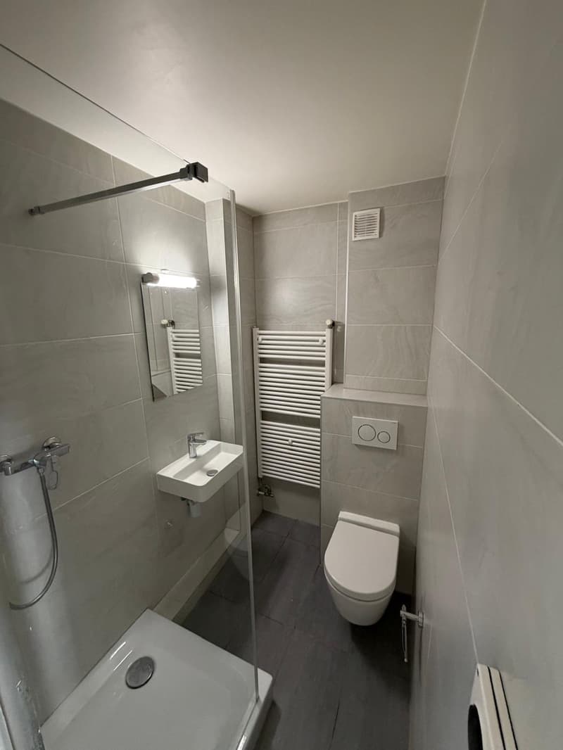 1.5 room apartment in the center of Neuchâtel (4)