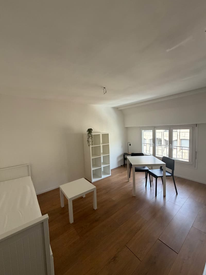 Wohnung mit 1,5 Zimmern im Zentrum von Neuchâtel (1)