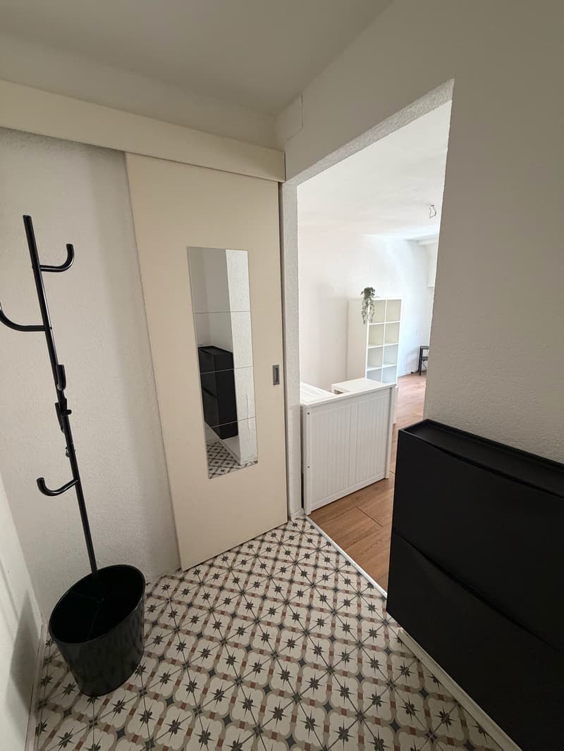 Wohnung mit 1,5 Zimmern im Zentrum von Neuchâtel (6)