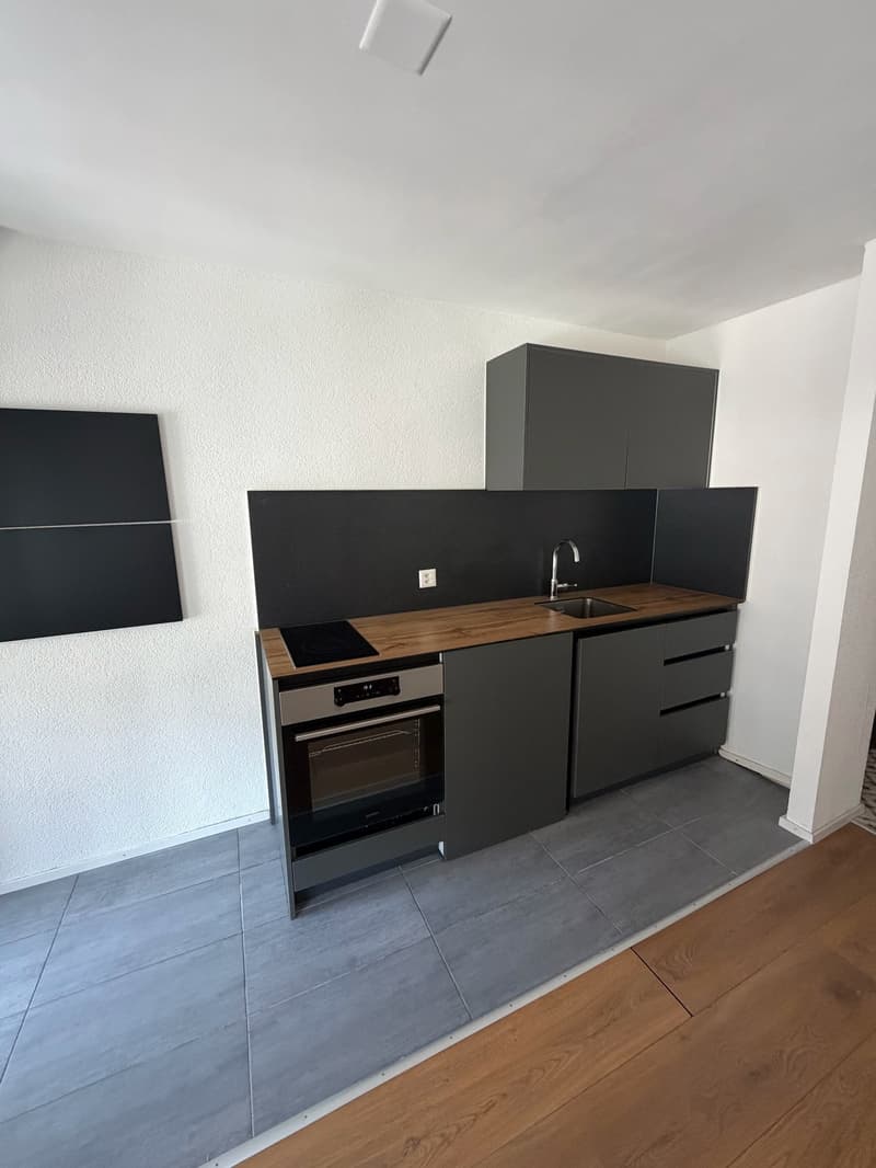 Wohnung mit 1,5 Zimmern im Zentrum von Neuchâtel (4)