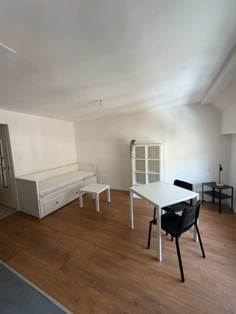 Wohnung mit 1,5 Zimmern im Zentrum von Neuchâtel (3)