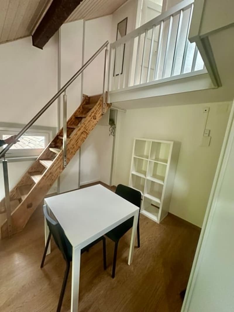 In pieno centro di Neuchâtel, appartamento arredato in mezzanino (3)