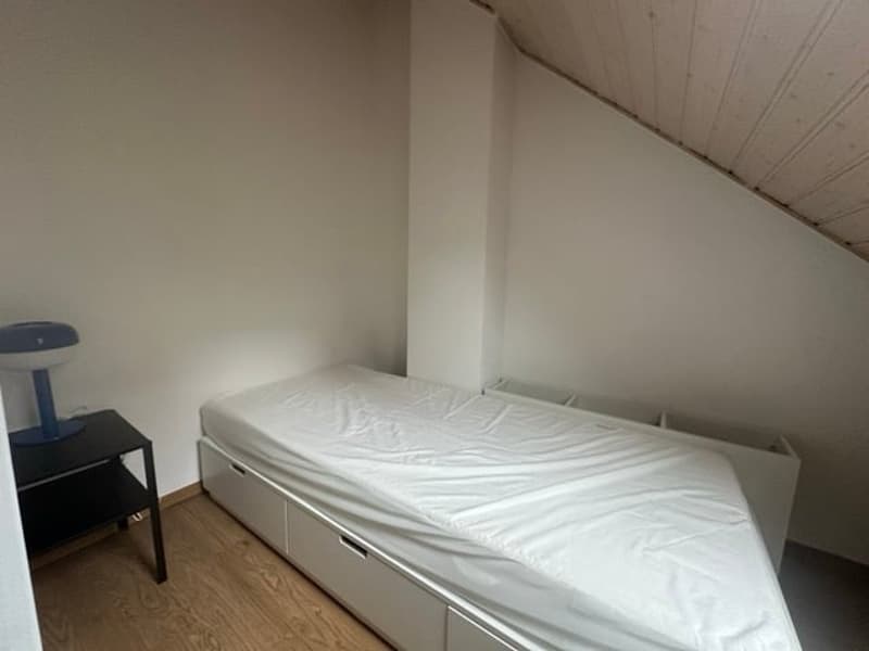 In pieno centro di Neuchâtel, appartamento arredato in mezzanino (4)