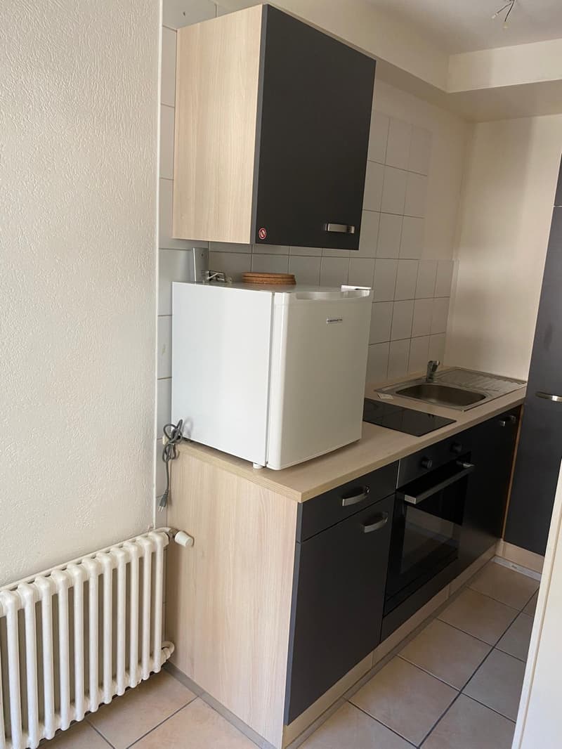 Appartamento di 1,5 locali arredato nel centro di Neuchâtel (3)