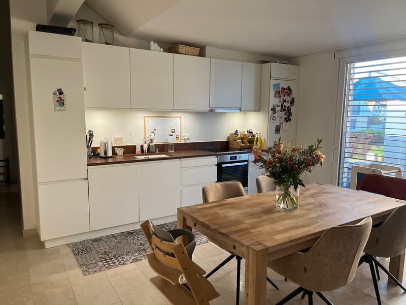 Schönes Apartment mit großer Terrasse im Zentrum von Rolle, neues Gebäude (1)