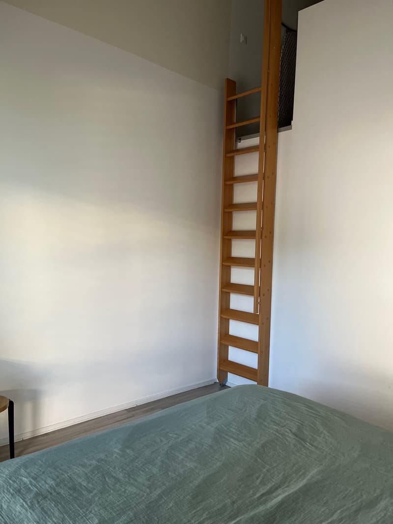 Schönes Apartment mit großer Terrasse im Zentrum von Rolle, neues Gebäude (5)