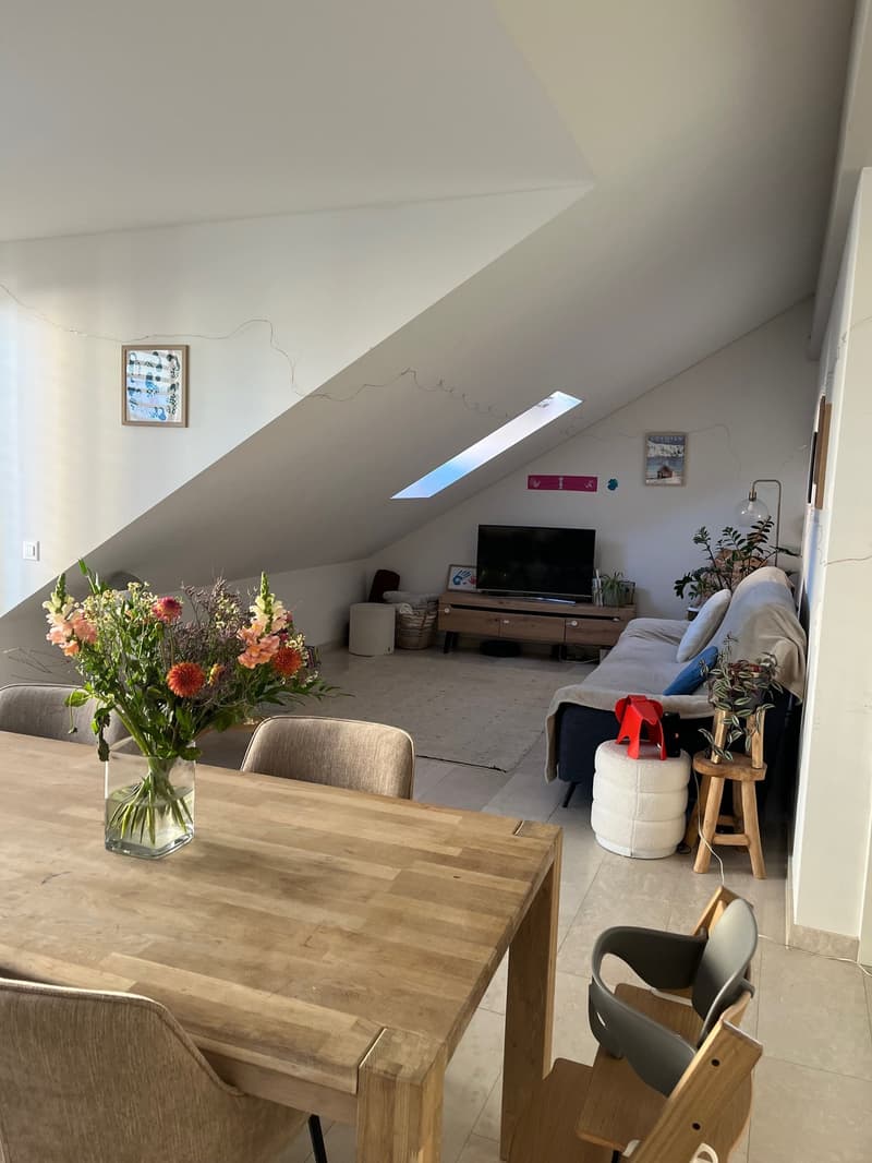 Schönes Apartment mit großer Terrasse im Zentrum von Rolle, neues Gebäude (2)