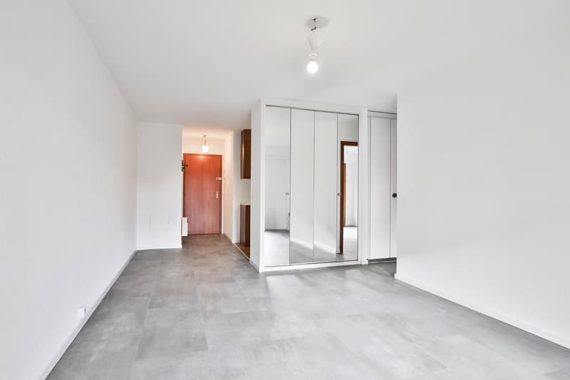 Charmant appartement de 2,5 pièces avec balcon, à deux pas de la gare et du lac (4)