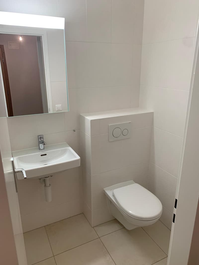 Appartement 3.5 pièces lumineux avec vue à Mont-sur-Rolle (11)