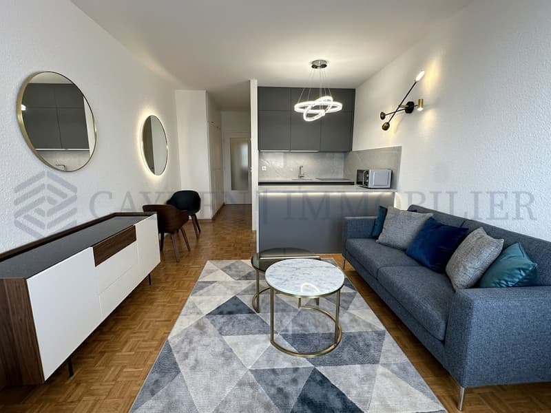 Exclusivity !! Studio with lake view (2)