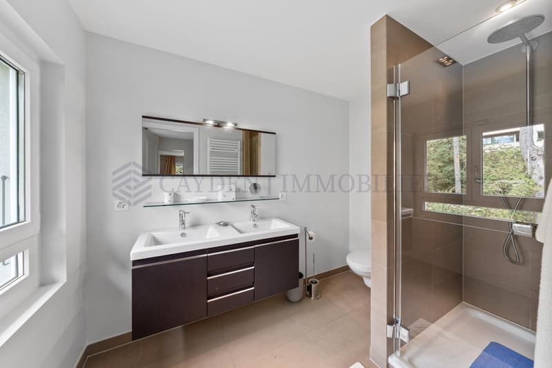 Large, fully renovated individual villa (12)