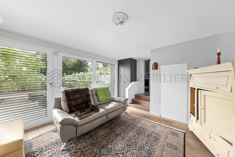 Large, fully renovated individual villa (13)