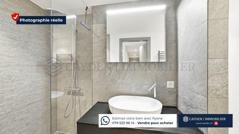 EXCLUSIVITÉ - 5,5 pièces rénové (7)