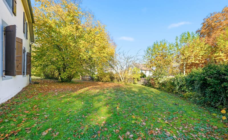 Beautiful renovated building on large sunny plot (11)