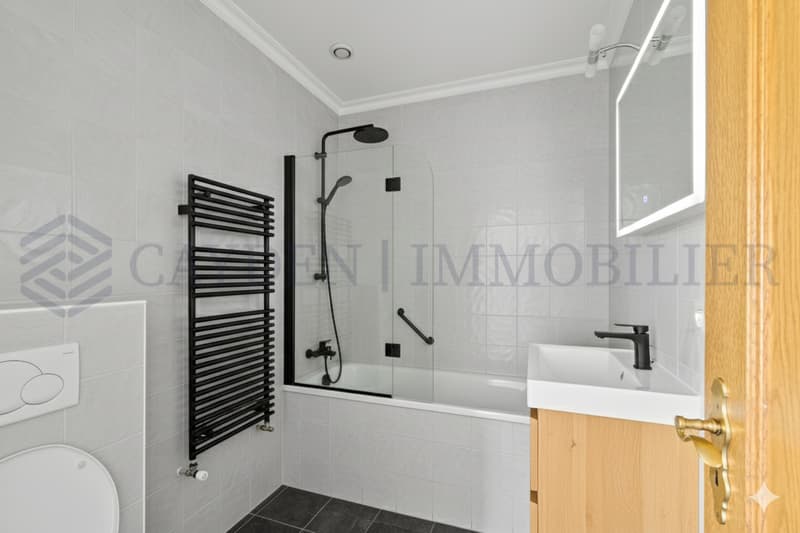 Beautiful 7-room apartment in a charming residence (9)