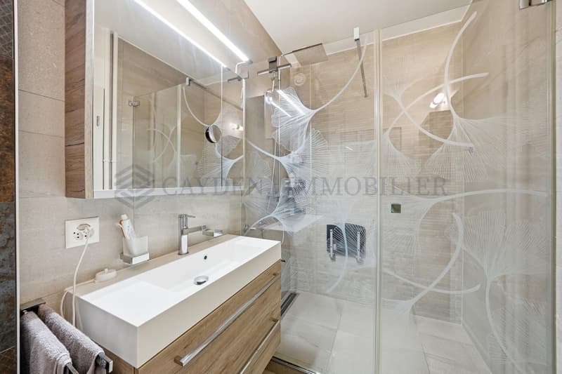 Beautiful 4-room apartment completely renovated (6)