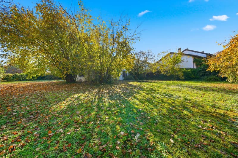 Schönes renoviertes Gebäude auf großem sonnigen Grundstück (2)