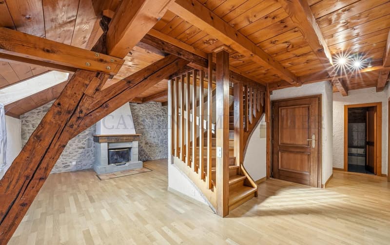 Schönes renoviertes Gebäude auf großem sonnigen Grundstück (13)