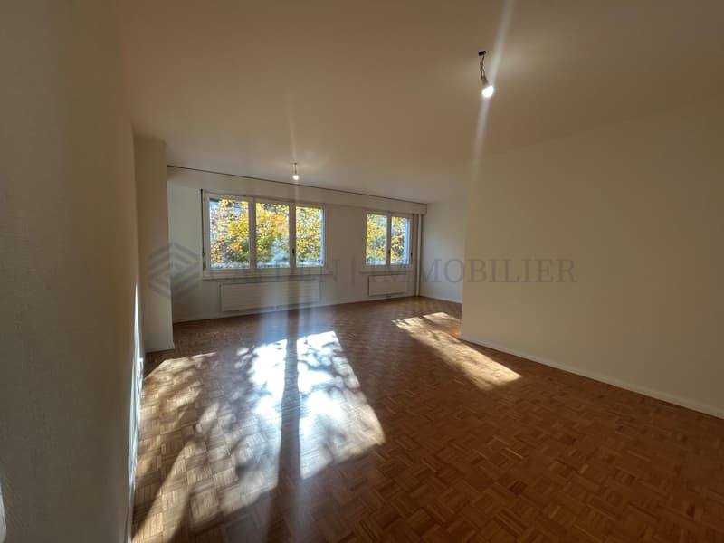 Schönes 3-Zimmer-Apartment, das in 4 Zimmer umgewandelt werden kann, im Herzen von Grand-Saconnex! (3)
