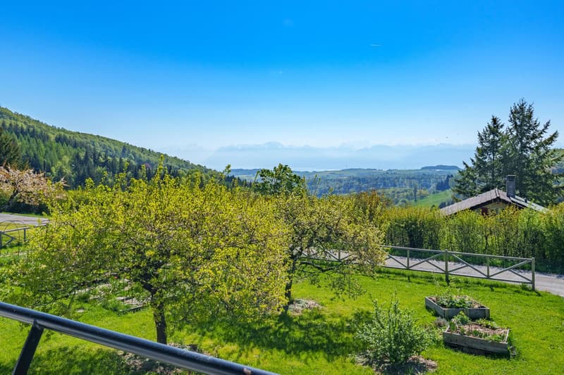 Bella villa con vista lago - 15 minuti da Rolle (2)