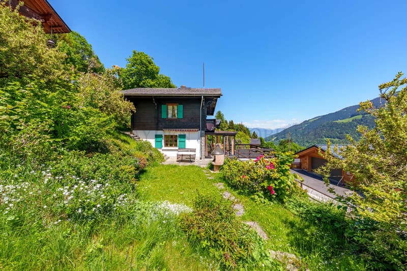 Chalet autentico, vista panoramica sulle montagne (12)