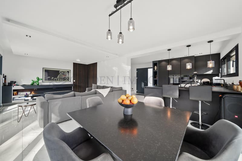France neighbor, new individual villa with pool (8)