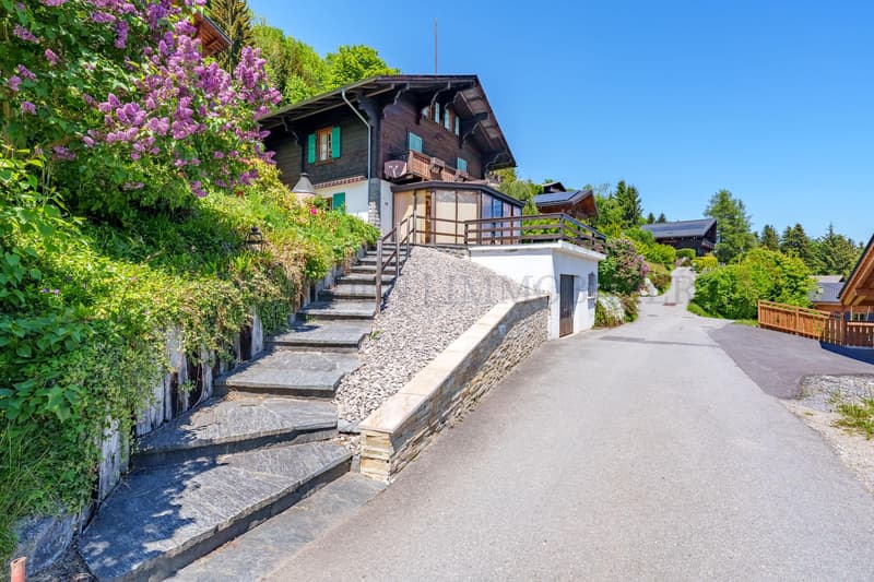 Chalet authentique, vue panoramique sur les montagnes (4)