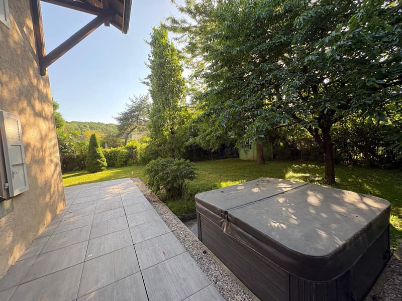 Beautifully renovated house (5)