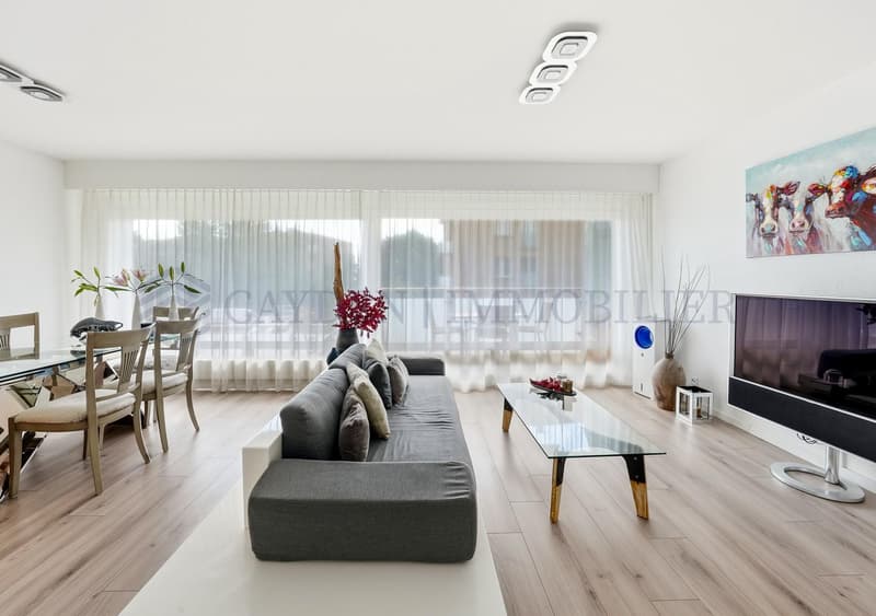 Schönes 4.5-Zimmer-Wohnung komplett renoviert (4)