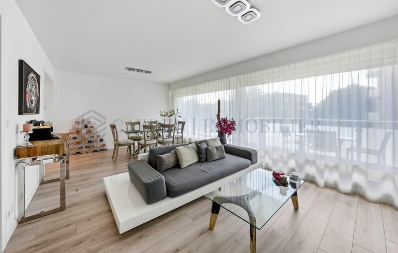 Schönes 4.5-Zimmer-Wohnung komplett renoviert (5)