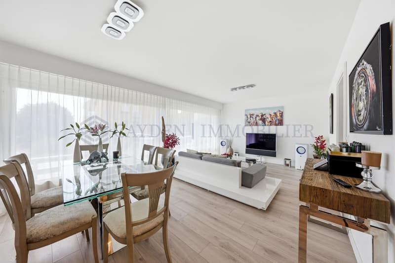 Schönes 4.5-Zimmer-Wohnung komplett renoviert (2)