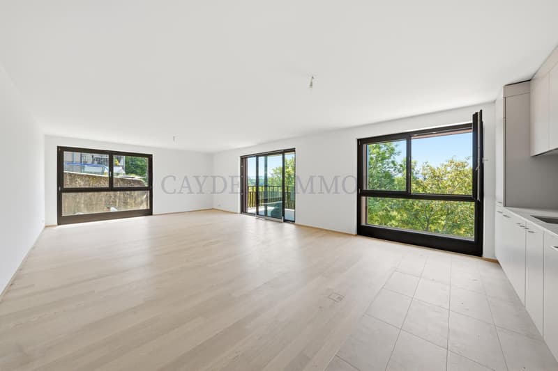 5 PIèces rez supérieur - Lot 3.02 (4)