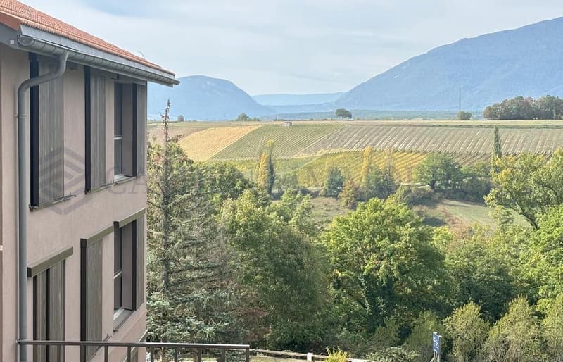 5 PIèces - 1er étage - Lot 4.02 (1)