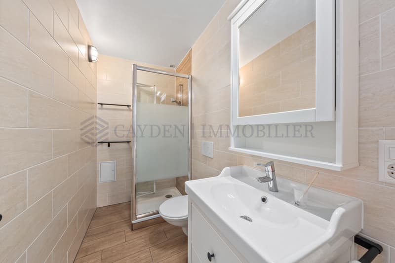 Schönes 5-Zimmer-Apartment renoviert (6)