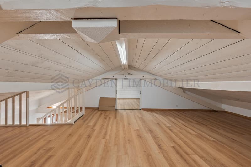 Schönes 5-Zimmer-Apartment renoviert (7)