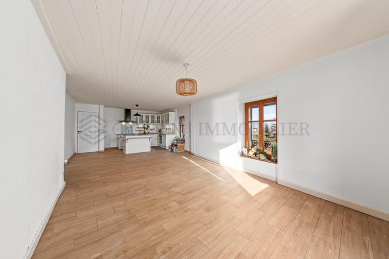Schönes 5-Zimmer-Apartment renoviert (4)