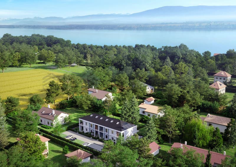 Villa D - Splendide villa de standing à quelques mètres du lac (3)