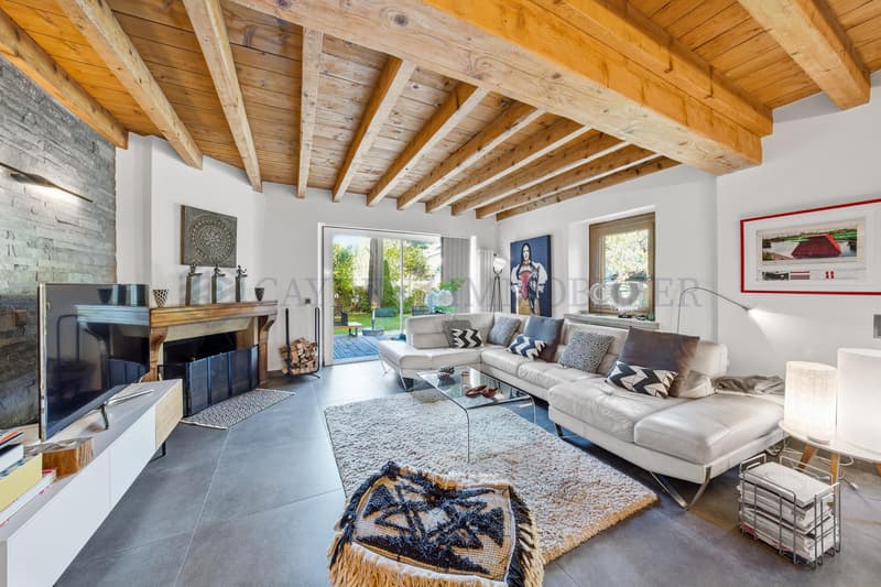 Belle maison de village superbement rénovée (13)