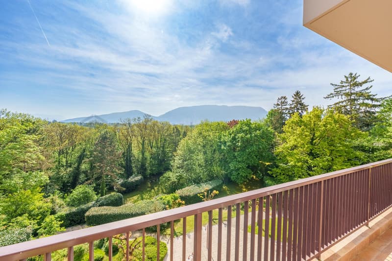 Exclusivité ! Superbe 5 pièces traversant avec vue dégagée ! (4)