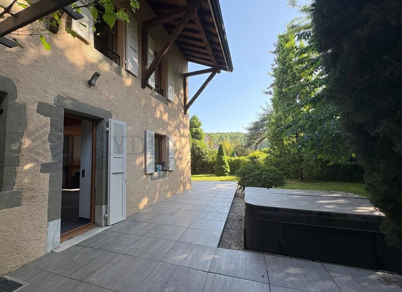 Belle maison de village superbement rénovée (7)
