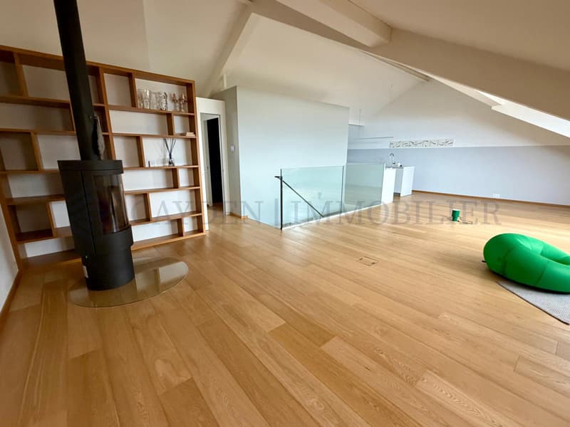 Sublime duplex rénové vue imprenable sur le lac Léman (2)