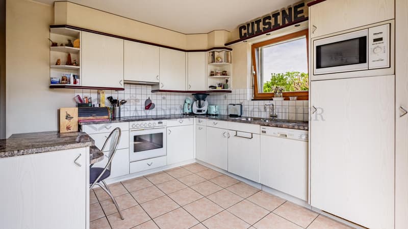Ensemble de 2 villas sur plus de 1000 m2 (5)